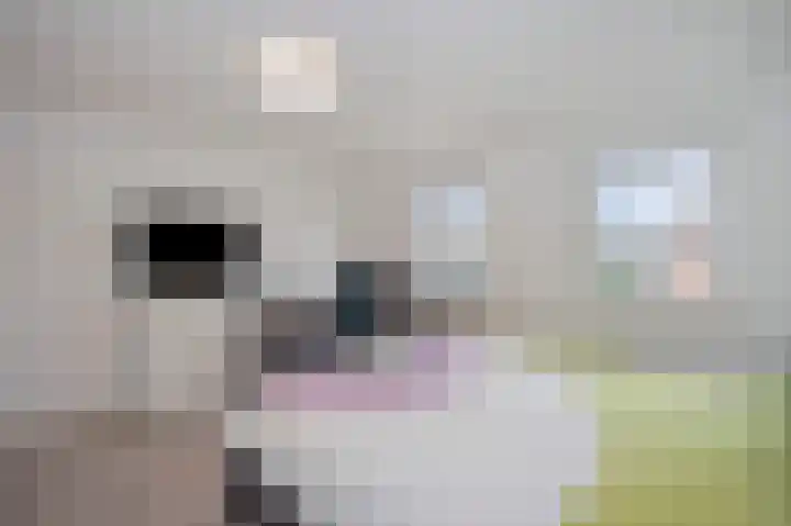 Swentiboldstraat 4 A Guttecoven thumbnail 45