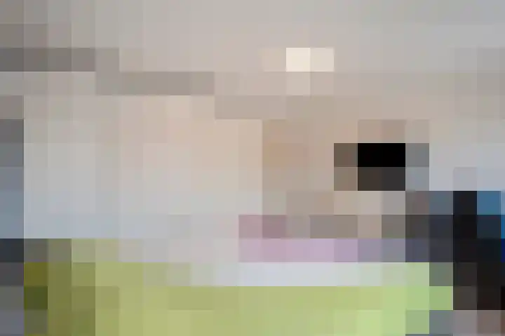 Swentiboldstraat 4 A Guttecoven thumbnail 46