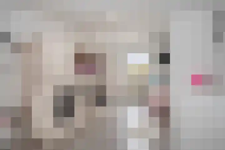 Swentiboldstraat 4 A Guttecoven thumbnail 50