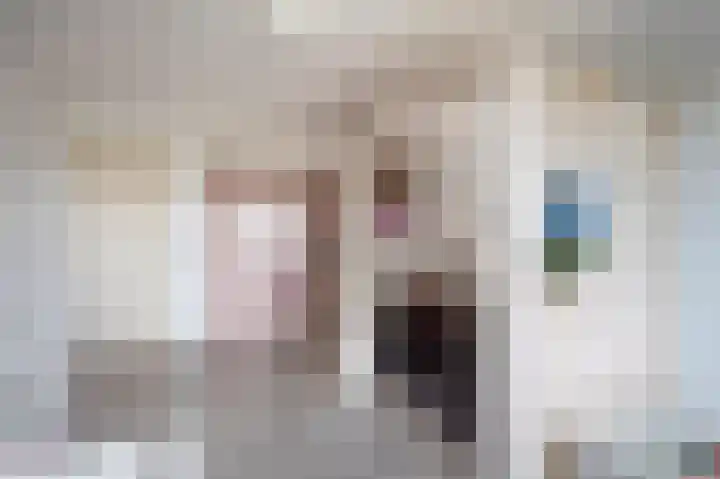 Swentiboldstraat 4 A Guttecoven thumbnail 51