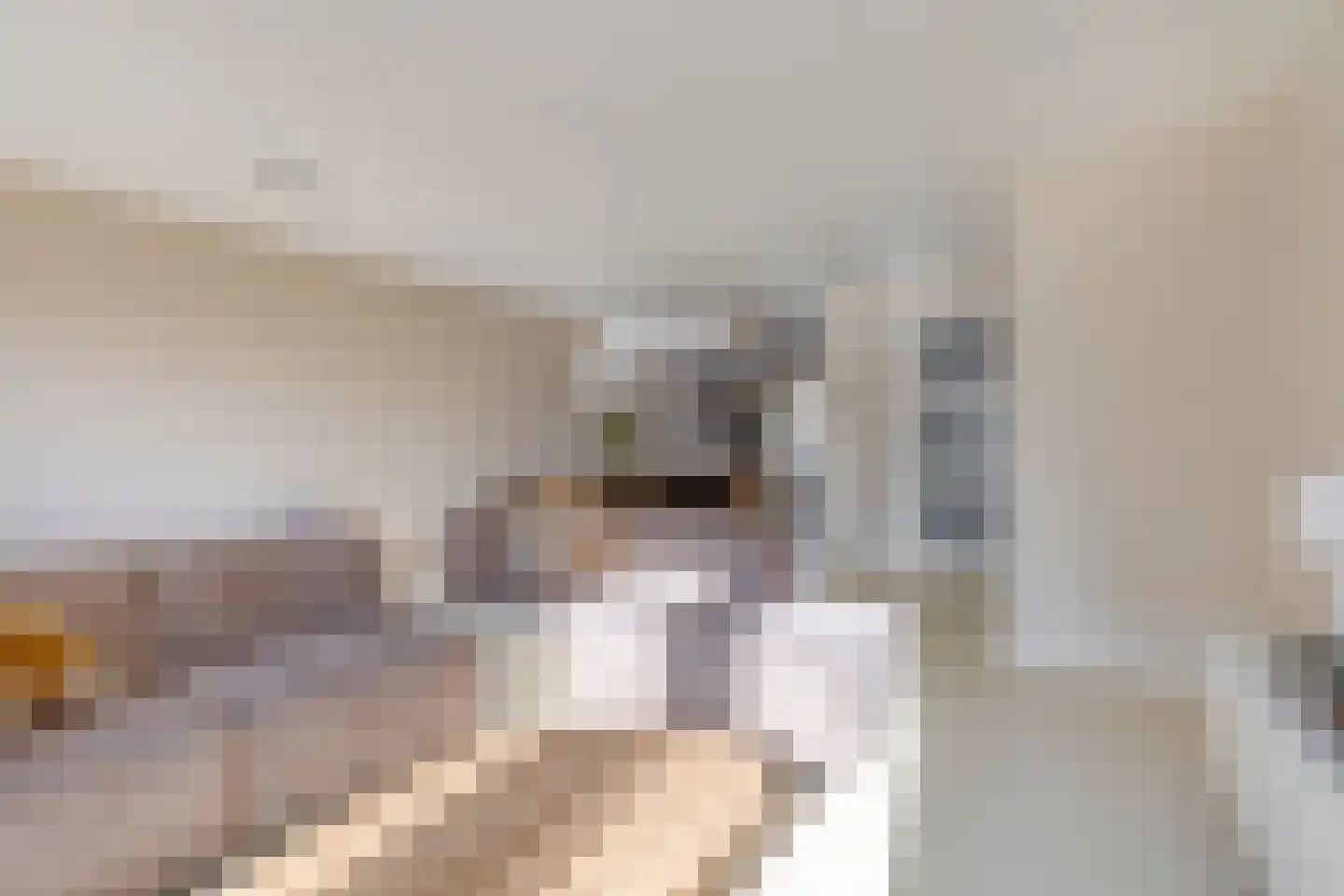 Swertpoellaan 15 Helmond thumbnail 12
