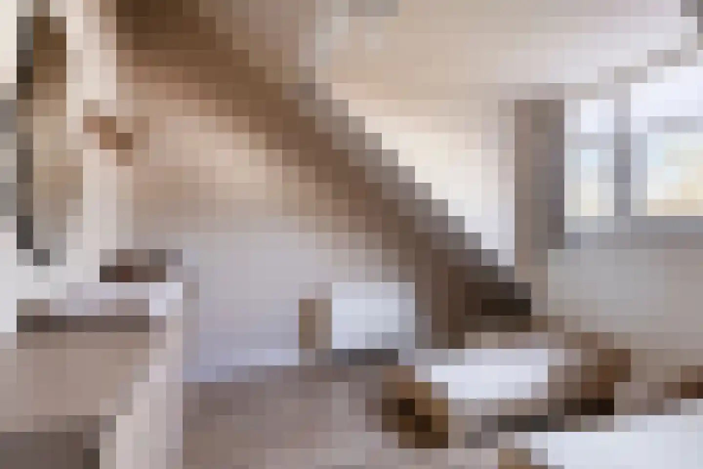 Swertpoellaan 15 Helmond thumbnail 34
