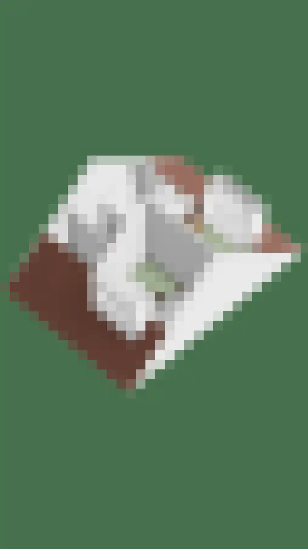 Swertpoellaan 15 Helmond thumbnail 54
