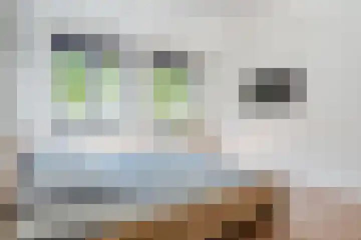 Swertpoellaan 8 Helmond thumbnail 15