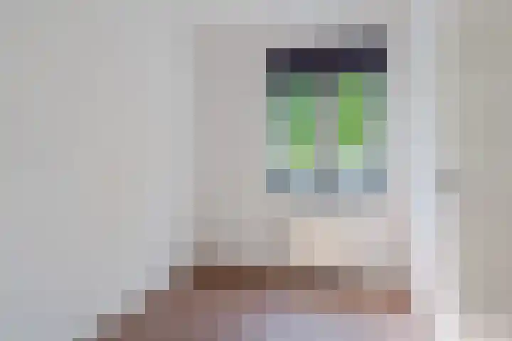 Swertpoellaan 8 Helmond thumbnail 18