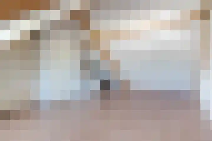 Swertpoellaan 8 Helmond thumbnail 25