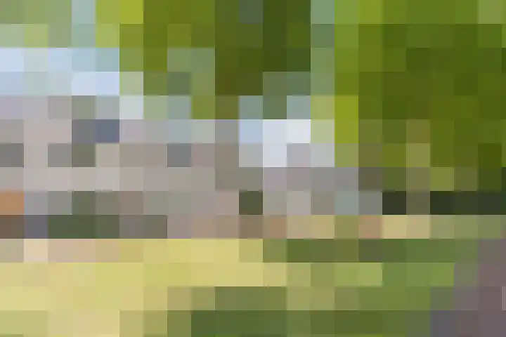 Swertpoellaan 8 Helmond thumbnail 30