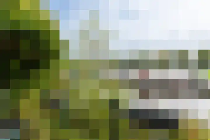Swettebuorren 24 Aldeboarn thumbnail 19
