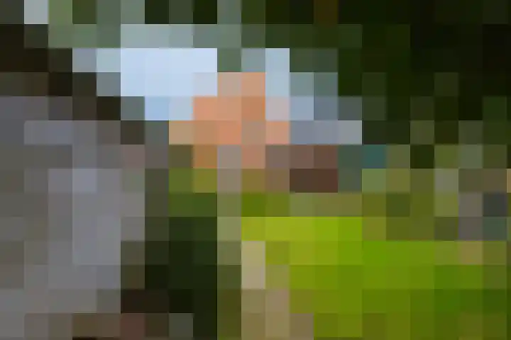 Swettebuorren 24 Aldeboarn thumbnail 20