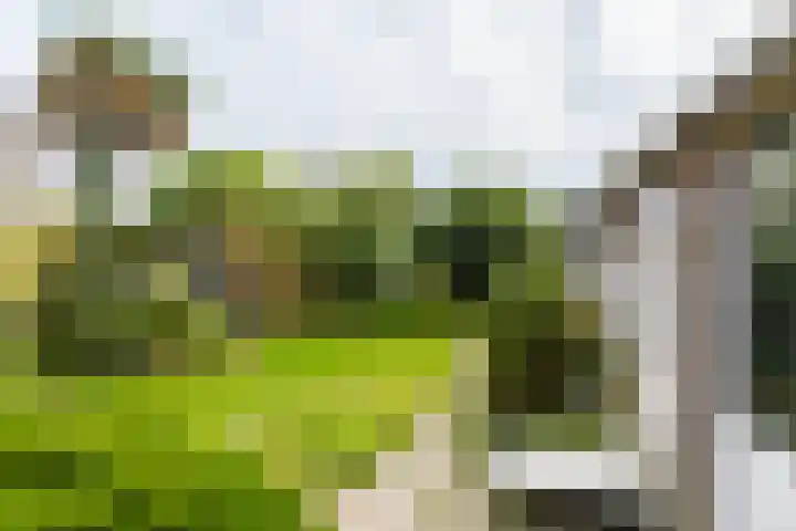 Swettebuorren 24 Aldeboarn thumbnail 21