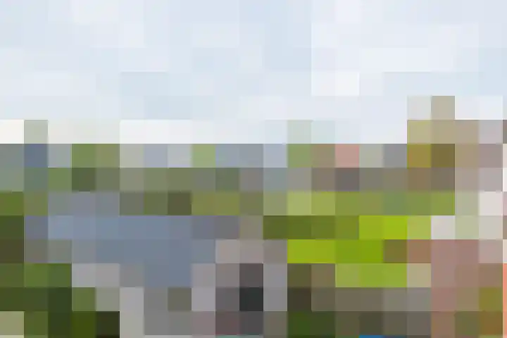 Swettebuorren 24 Aldeboarn thumbnail 23