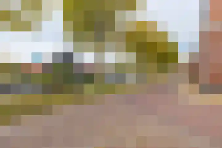 Swettebuorren 24 Aldeboarn thumbnail 24