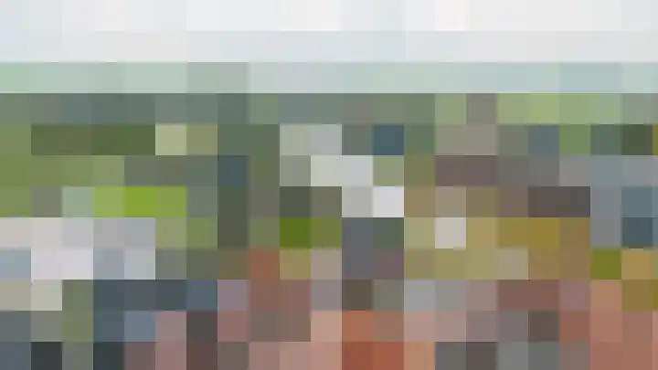 Swettebuorren 24 Aldeboarn thumbnail 29