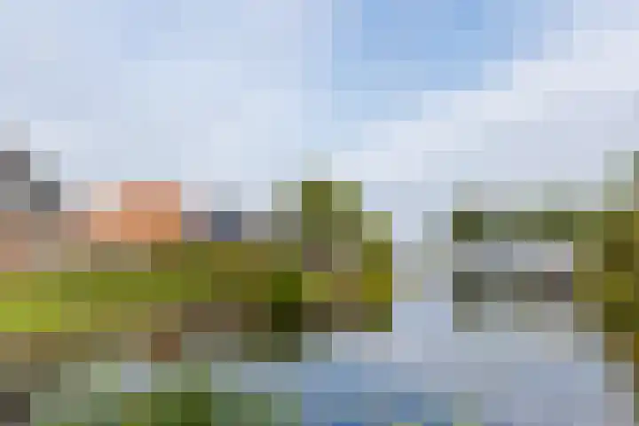 Swettebuorren 24 Aldeboarn thumbnail 4