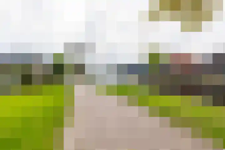 Swettebuorren 24 Aldeboarn thumbnail 6
