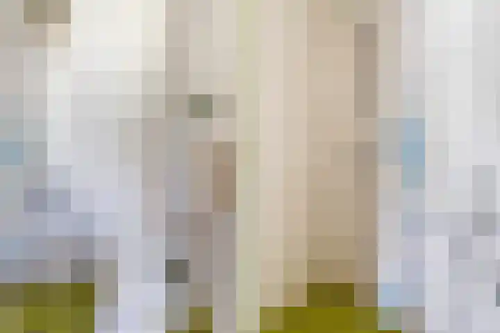 Swichumerdyk 19 Wirdum thumbnail 11