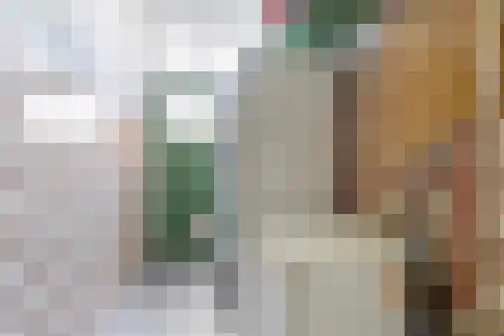 Swichumerdyk 19 Wirdum thumbnail 18