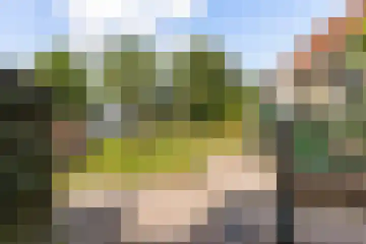 Swichumerdyk 19 Wirdum thumbnail 19
