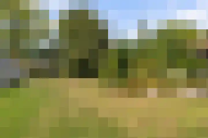Swichumerdyk 19 Wirdum thumbnail 20