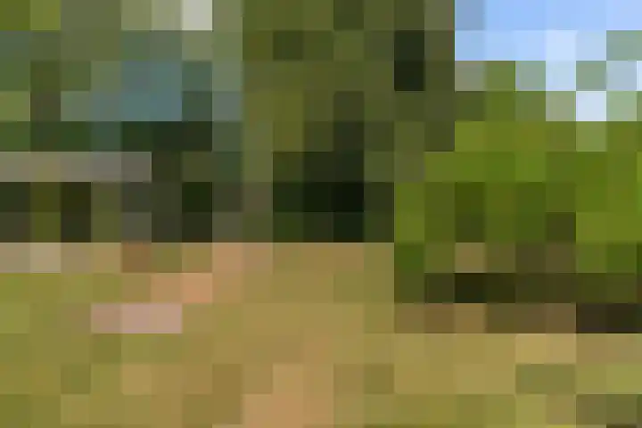 Swichumerdyk 19 Wirdum thumbnail 21