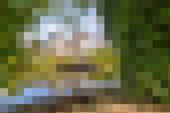 Swichumerdyk 19 Wirdum thumbnail 23