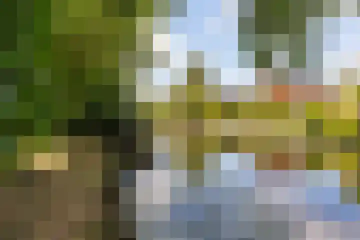 Swichumerdyk 19 Wirdum thumbnail 24