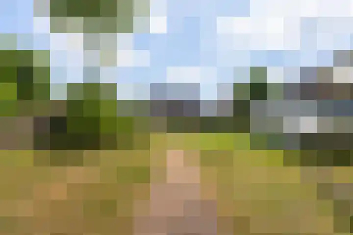 Swichumerdyk 19 Wirdum thumbnail 25