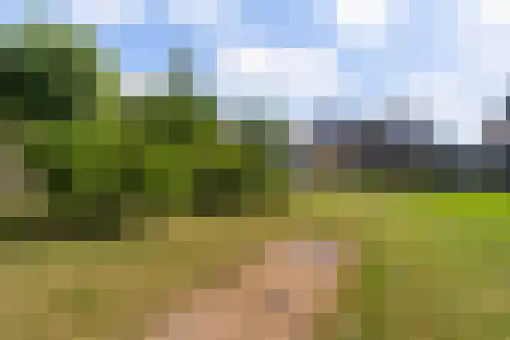 Swichumerdyk 19 Wirdum thumbnail 26