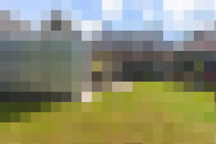 Swichumerdyk 19 Wirdum thumbnail 27