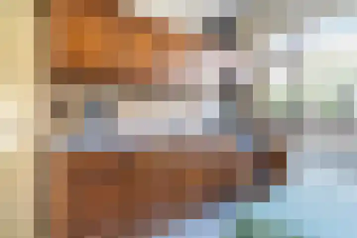Swichumerdyk 19 Wirdum foto 3