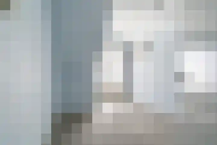 Swichumerdyk 19 Wirdum thumbnail 30