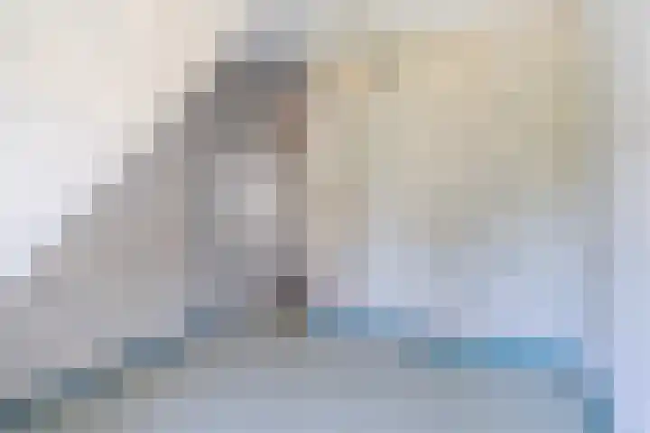 Swichumerdyk 19 Wirdum thumbnail 35