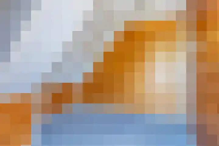 Swichumerdyk 19 Wirdum thumbnail 37