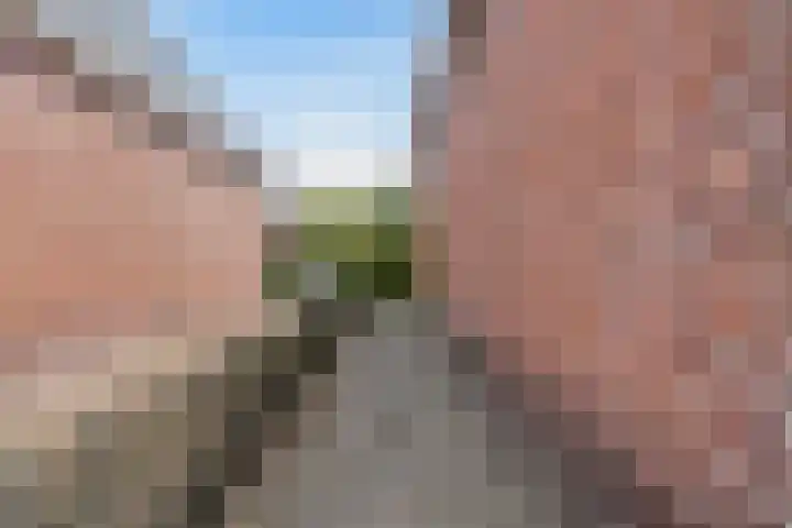 Swichumerdyk 19 Wirdum thumbnail 39