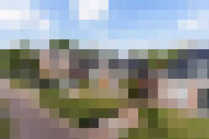 Swichumerdyk 19 Wirdum thumbnail 40