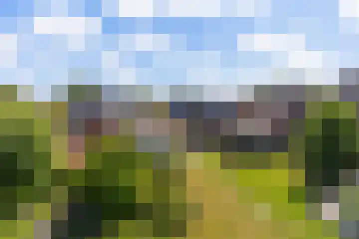 Swichumerdyk 19 Wirdum thumbnail 42