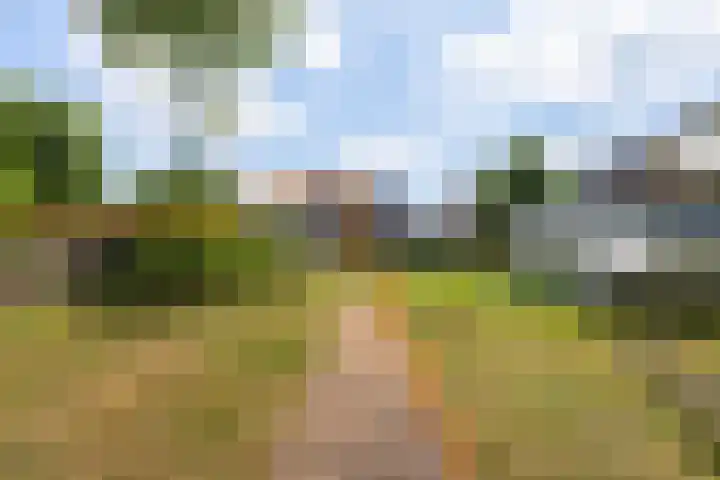 Swichumerdyk 19 Wirdum thumbnail 43