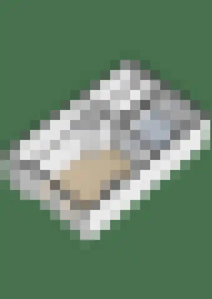 Swichumerdyk 19 Wirdum thumbnail 45