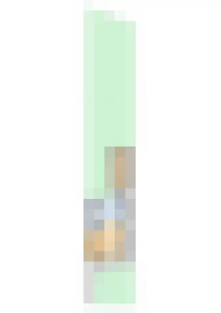 Swichumerdyk 19 Wirdum thumbnail 50