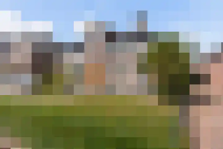 Swichumerdyk 19 Wirdum thumbnail 6