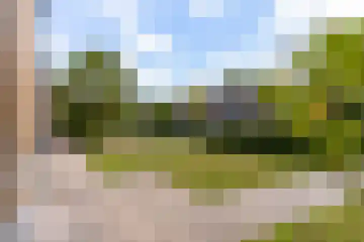 Swichumerdyk 19 Wirdum thumbnail 8