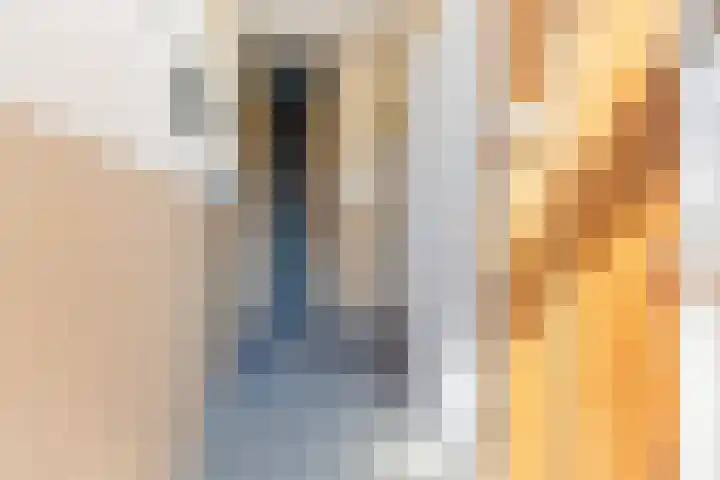 Swichumerdyk 19 Wirdum thumbnail 9