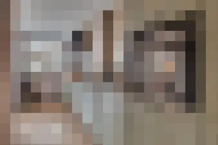 Swidbertstraat 18 Waalre thumbnail 15
