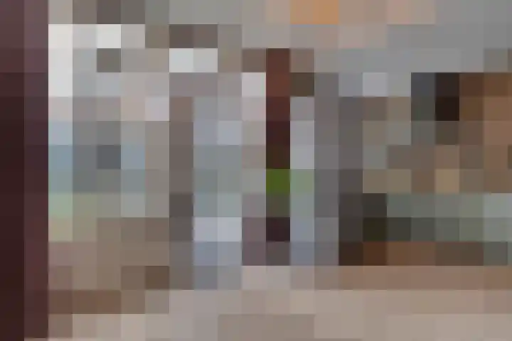 Swidbertstraat 18 Waalre thumbnail 16