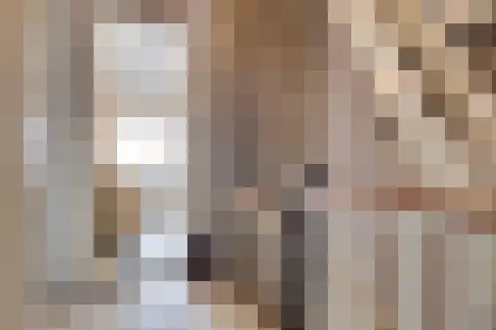 Swidbertstraat 18 Waalre thumbnail 19