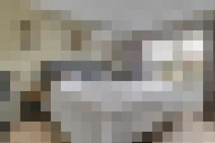 Swidbertstraat 18 Waalre thumbnail 20