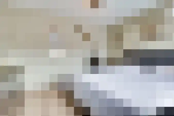 Swidbertstraat 18 Waalre thumbnail 21