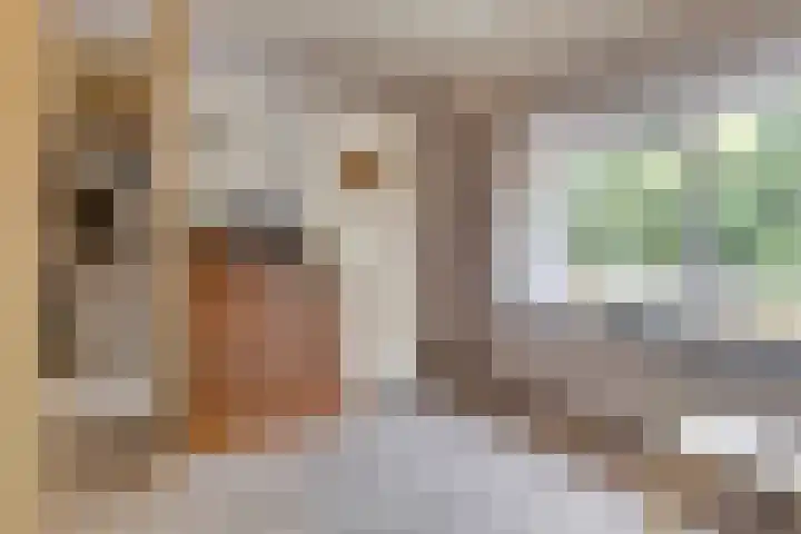 Swidbertstraat 18 Waalre thumbnail 22