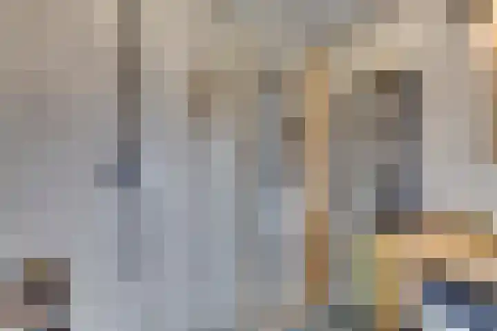 Swidbertstraat 18 Waalre thumbnail 26