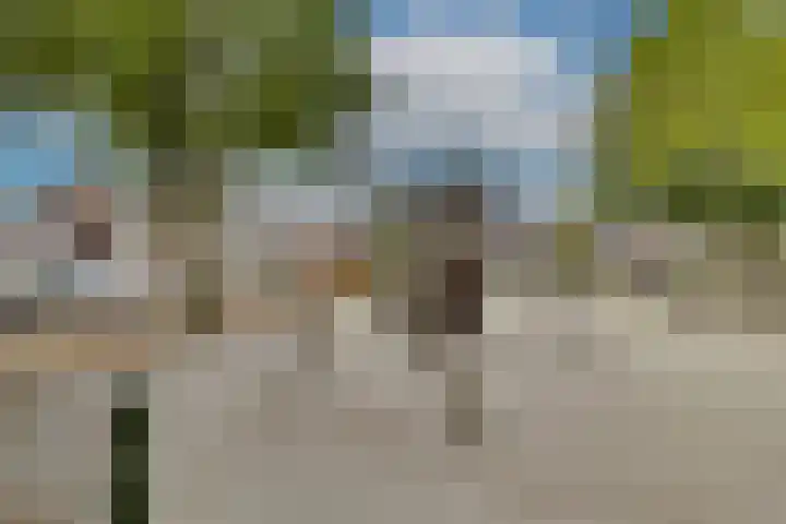 Swidbertstraat 18 Waalre thumbnail 36